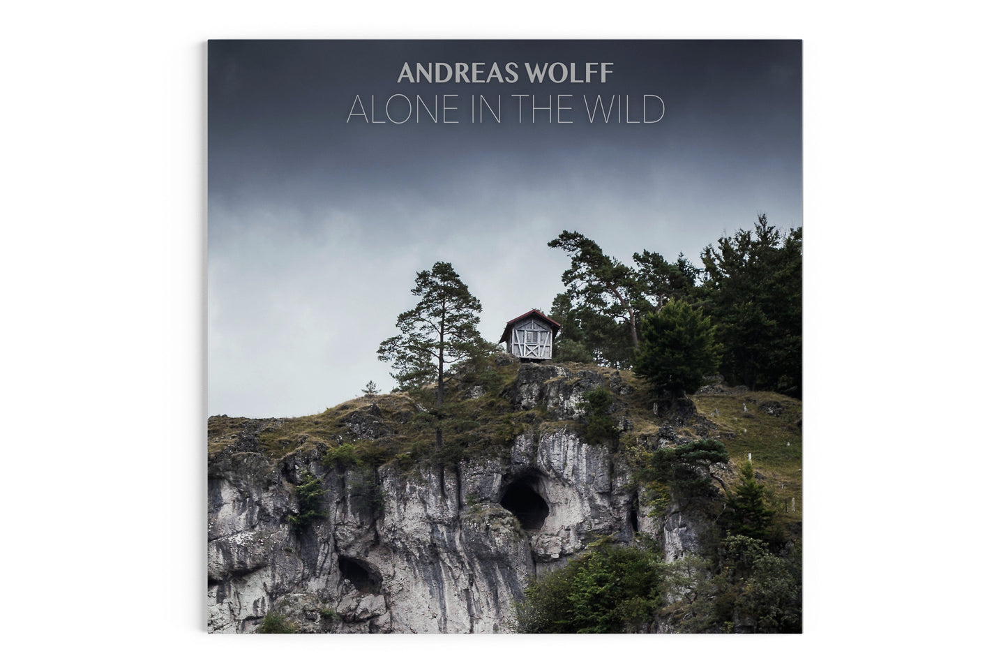 Alone In The Wild (MP3/FLAC Download)